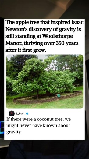 The apple tree that inspired Isaac Newton’s discovery of gravity.