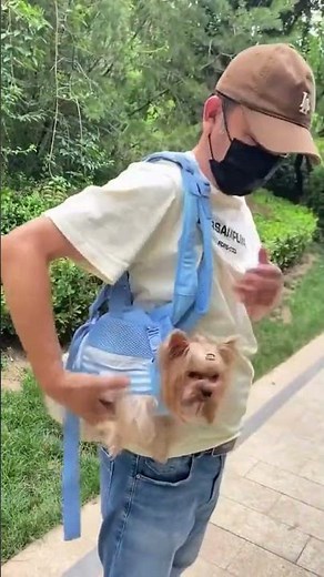 A perfect dog carrier bag for small dogs 😍 #PetGoodies #dogsoftiktok #dogs #dogcarrier #dogmom