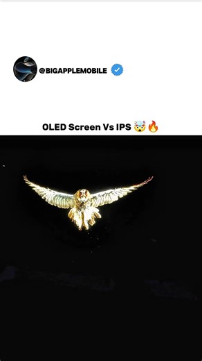 Who is Best Screen OLED vs IPS 🤯🔥 #apple #samsung #shorts