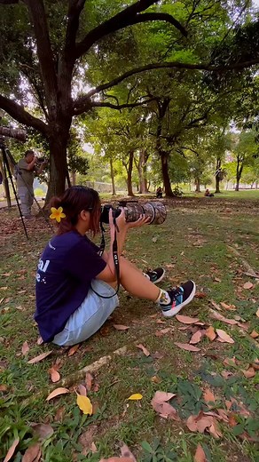 My Singapore Birding Reel-Y2025 #birders #birdvideo #birds #birding #birdlovers #sonyalpha #naturelovers #beautifulnature #wildlife #wildlifephotography #birdwatchers #beautifulbirds #birdsofinstagram #birdsphotography #birdsphoto #birdingphotography #birdwatching #NParksBuzz #sgbirds #birdsofsingapore #wildbird #birdphoto #colorful #rarebird #natgeo #natgeowild #naturephotography #actionshotsphotography #bestbirdshots | Paulo Tan Tai Kwee