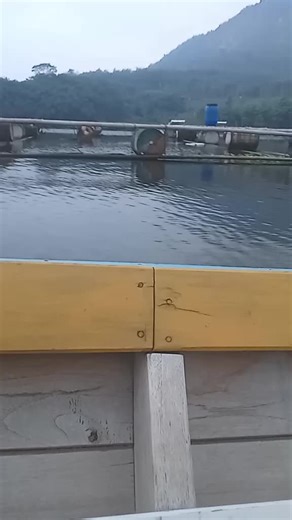 Aks_603 on TikTok