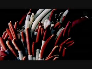 深海・青い砂漠 (02 of 02)