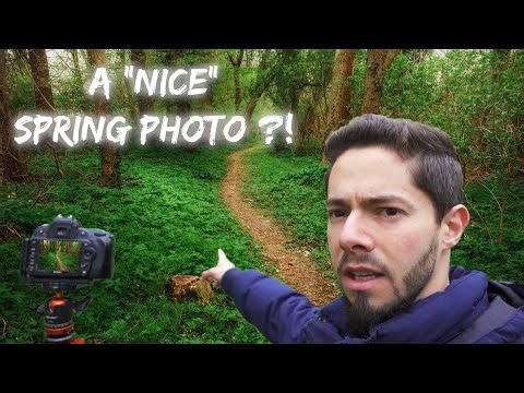 CAN I ?! | Nikon D90 | 50mm Lens | Sigma 10-20mm ULTRA wide Lens | Sigma 70-300mm Lens