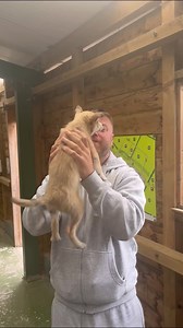 Full Irish breakfast at the Farm Grenagh | Richie’s Food and Nature