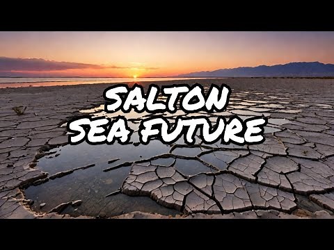 Salton Sea 2025: What’s Left, What’s Lost, What’s Next
