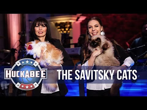 The AMAZING Acrobatic Savitsky Cats Perform | Huckabee