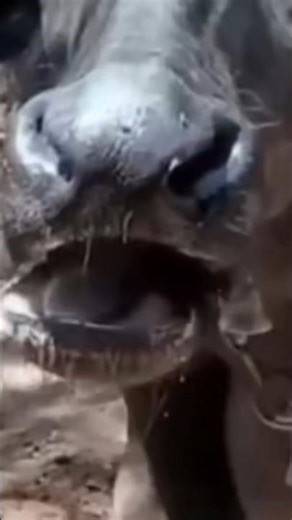 Redmi note 7s display back#viral #shorts #viralshorts #aishorts