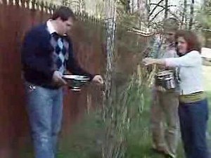 Spaghetti Trees Flourish in Tennessee