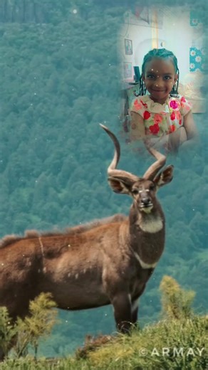 bini banana (@binibanana7)’s videos with original sound - Yemaleda Kine