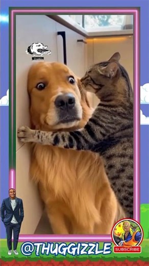 Homie Better Have My Money #shorts #viral #fyp #trending #dog #cat #animals #funny #lol #laugh