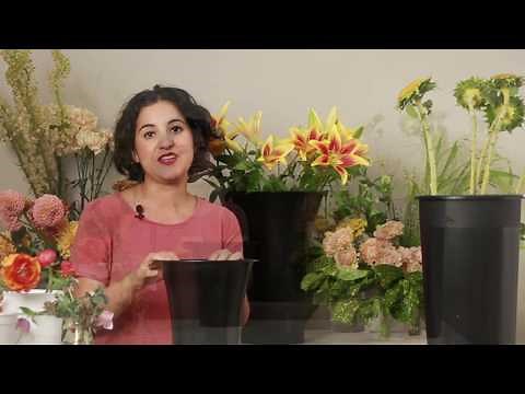 Choosing the Right Flower Buckets for Your Flowers