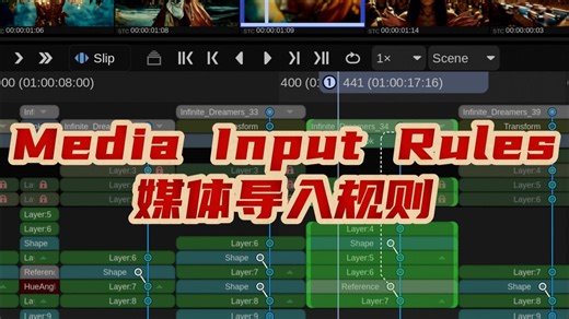 Baselight Media Input Rules 媒体导入规则