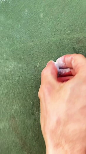 Exploring TikTok Cults with Cult Leaders | Cult Society on TikTok