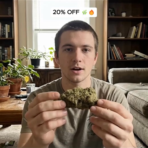 When you begin with more in hand, everything stands out. Take 20% off plus a free 8th on your first order. | Green Plug