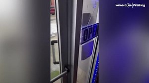 Indiana woman trapped in office by clingy squirrel