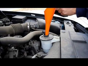 Add Power Steering Fluid to Ford Crown Victoria