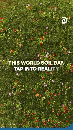Celebrating the silent superhero that powers our ecosystems and feeds us all. The foundation of life begins in the soil—let’s protect it for a better tomorrow. 🌍🌱 #Discovery #DiscoveryChannel #DiscoverySEA #WorldSoilDay #Soil | Discovery Channel Southeast Asia