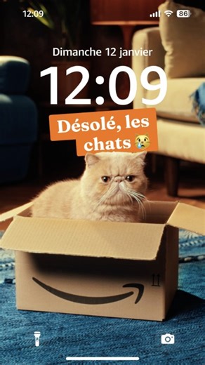 85K views · 84 reactions |  Pensée émue pour tous les chats qui pleurent leur premier amour : les cartons Amazon. Amazon réduit les emballages pour les produits pouvant être livrés sans risque. Mais si votre cœur de matou n’arrive pas à s’en remettre, vous pouvez toujours ajouter un carton à la commande. ❤️ #TheCatCollective | Amazon.fr | Facebook