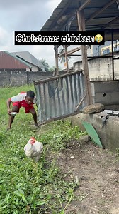 Christmas chicken #reelsviralシ #fypシ #couple #funny #fblifestyle | Johnbest comedian