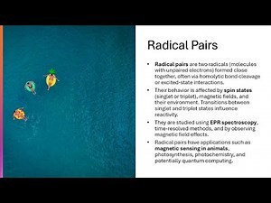 Radical Pairs Formation, Behavior, and Reactions (Notes included)
