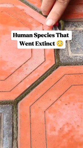 Human Species That Went Extinct 😳 #shorts #viral #trending #shortvideo #youtubeshorts #youtube #fyp