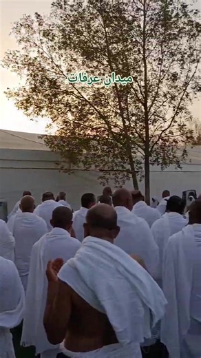 Maidan e Arafah during Hajj 2026: Arafah Gathering Explained