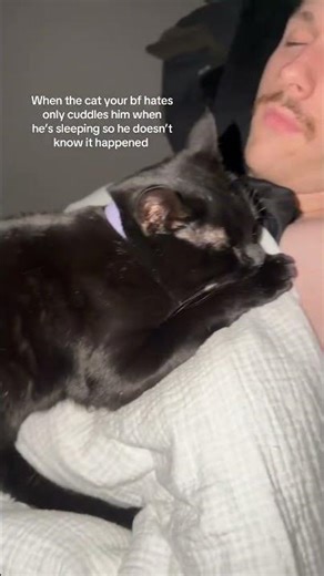 @kayceeelder: That’s my girl #cat #catlover #kitty