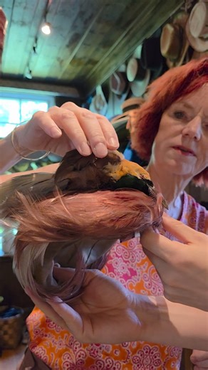 Velkommen til 'Ting fra huset som jeg ikke vet hva er', en Instagram-serie der jeg går gjennom ting fra huset (til foreldrene mine) som alltid har vært der, men som vi, og kanskje ingen, vet hva er. Dette er episode 27. Flere episoder lages kanskje. Trykk 'lik' og 'følg' hvis du liker denne serien og vil ha flere episoder. Del den gjerne med en venn óg. #maurstadmeddetrarei | Aslak Maurstad