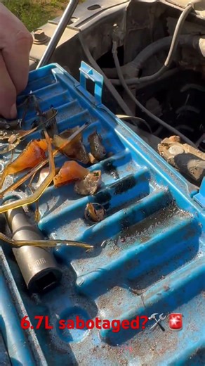 6.7l Cummins sabotaged. What do you think it is? Epoxy? Stop leak?