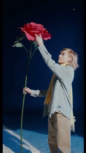 Queen of Hearts Echoes #QueenOfHearts #IndieArtist #NewMusic #tiktokmusic