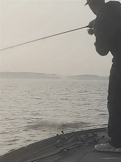 Rayburn Day 1 Highlights: Tournament Fishing Insights