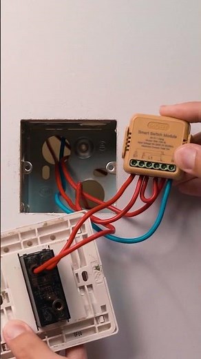 Smart Switch Module for Existing Wall Switches | MOES