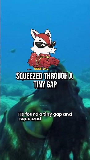 The Octopus Who Escaped From an Aquarium 🐙 | Inky’s True Story #Short