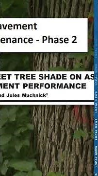 Kalamazoo roadside tree project may be scaled back amid safety debate, limits and pushback