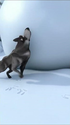 Teljes téli móka! ❄️🐻 #MashaésaMedve #rajzfilmekgyerekeknek #rajzfilmek