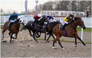 Horse Racing tips: Our 4 to score from across Tuesday’s UK cards