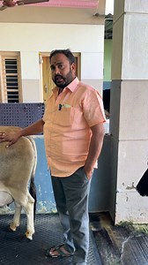 194K views · 6K reactions | 12 ఈతలు ఆవు Chinna Dairy Farm punganuru | Lks Chanal | Facebook