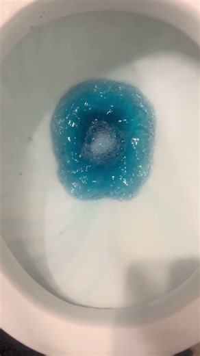 2006 Glacier Bay all-in-one ultra blue flush