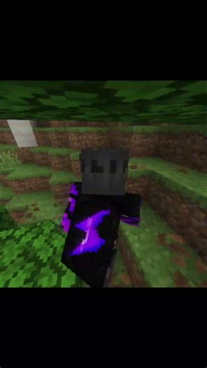 Minecraft Brown Panda🐼