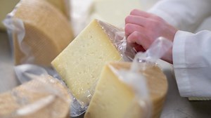 Rückruf von Käse: E. coli Bakterien können enthalten sein