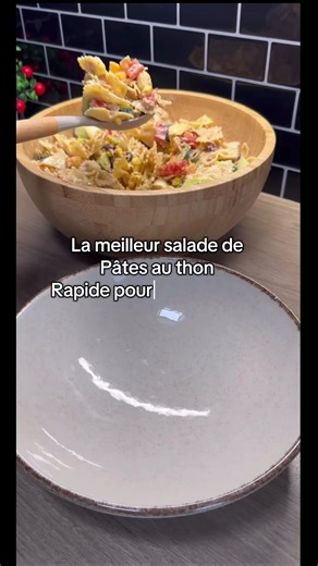 INGRÉDIENTS SAUCE : 1 pot de yaourt nature 1 demi tasse de mayonnaise 2cc de citron 2cs de vinaigre 2cs d’huile d’olive ÉPICES : 1cs ail en poudre 1cs oignions en poudre 1cs sel 1cs poivre 1cs paprika Like et Abonne toi la série ramadan 1 jours 1 recettes commence dès demain 🌙👩🏽‍🍳 #ideerecette #ideerepas #ramadan #pourtoi #viral
