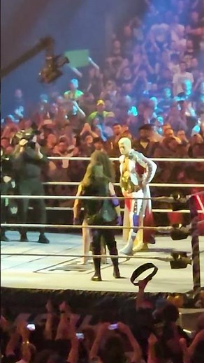 French crowd chants Kingdom #backlash2024 #wwe #wwebacklash #backlashfrance #codyrhodes #ajstyles