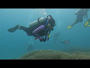 LEARN IN 1 MINUTE SCUBA FOR KİDS