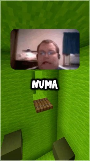 The Numa Numa Meme Truth