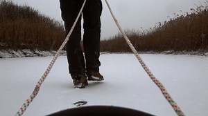 Sledge Being Pulled On Snow Stock Footage Video (100% Royalty-free) 22266538 | Shutterstock