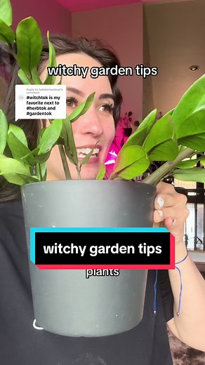 Replying to @hallshomestead witchy garden ideas   tips. crystals, herbs, and green witch tips for beginners. if you are looking to create a magical, whimsical garden, try these witchy tips. #witchtok #beginnerwitchtips #greenwitch #witchygarden #witchcraft #practicalmagic #farmersalmanac #gardeningtips