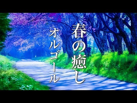 Soothing, Gentle Music Box [Relaxing Healing BGM]