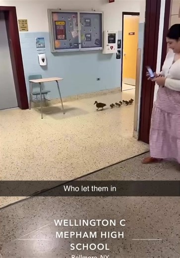 Tiny Desk Comedy from Long Island