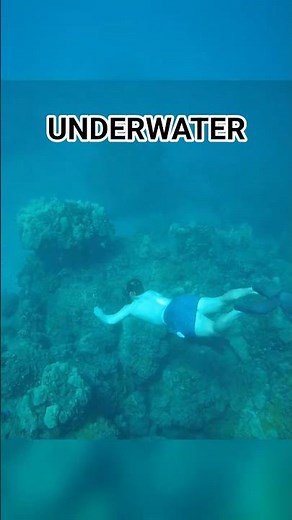 I never expected Hawaii's Ocean to be like this