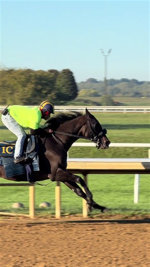 A Day in the Life at Keeneland: Horse Racing Highlights